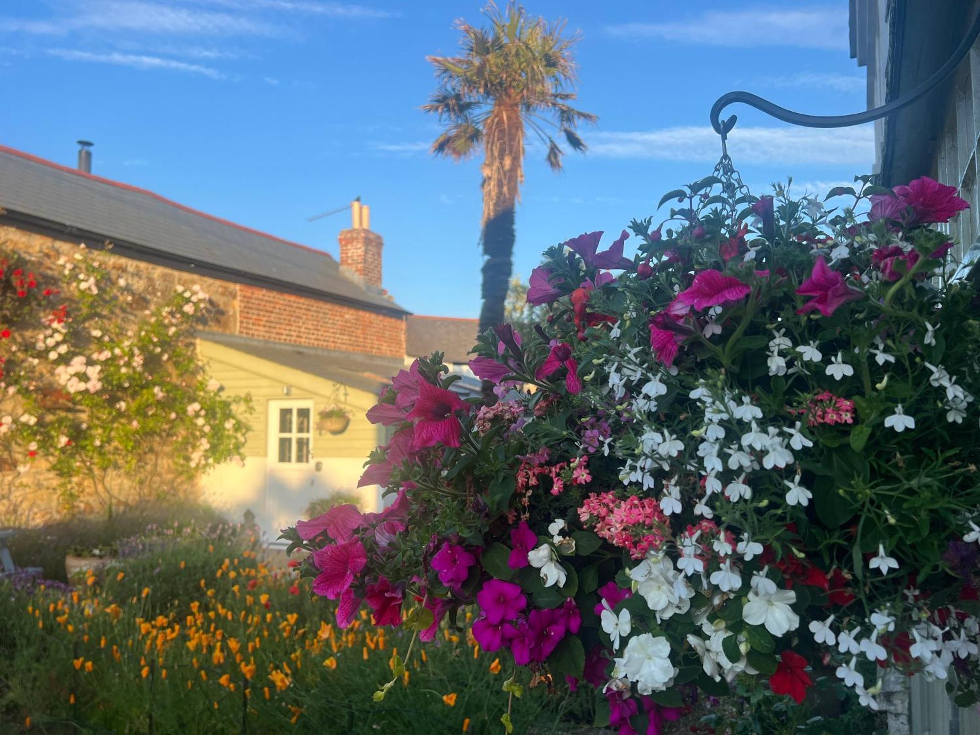 Penwyth House Bed & Breakfast Newquay  Exterior photo